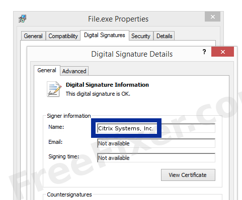 Screenshot of the Citrix Systems, Inc. certificate